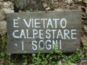 11071093_10153276835334486_3853361169264853364_n